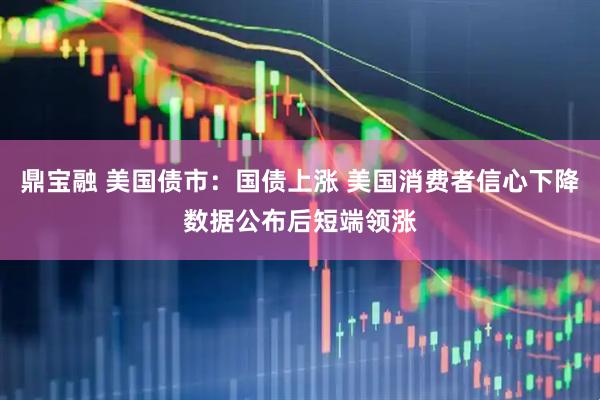 鼎宝融 美国债市：国债上涨 美国消费者信心下降数据公布后短端领涨