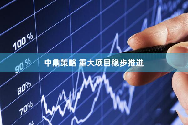 中鼎策略 重大项目稳步推进
