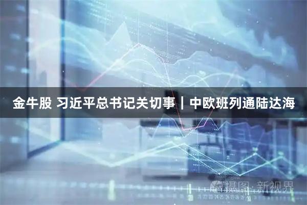 金牛股 习近平总书记关切事｜中欧班列通陆达海