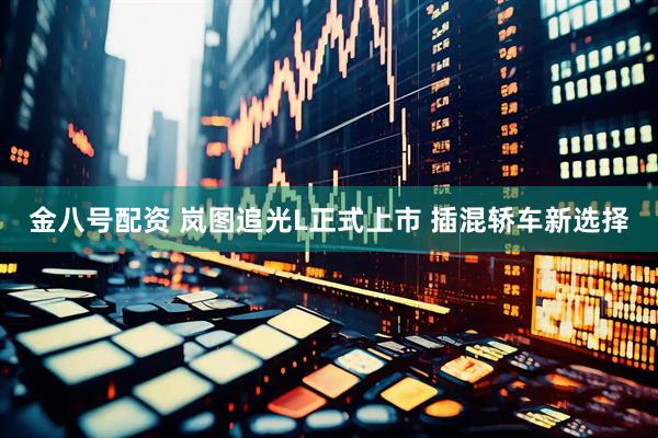 金八号配资 岚图追光L正式上市 插混轿车新选择
