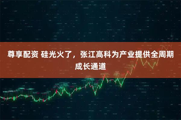 尊享配资 硅光火了，张江高科为产业提供全周期成长通道