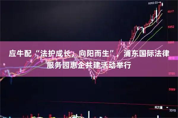 应牛配 “法护成长，向阳而生”，浦东国际法律服务园惠企共建活动举行