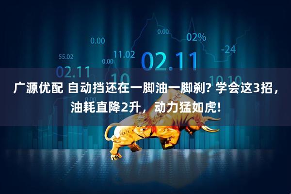 广源优配 自动挡还在一脚油一脚刹? 学会这3招，油耗直降2升，动力猛如虎!